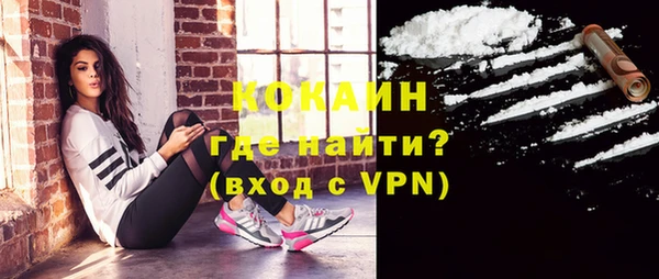 тгк Каменка