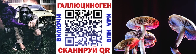 кракен ссылки Ельня Галлюциногенные грибы Psilocybe