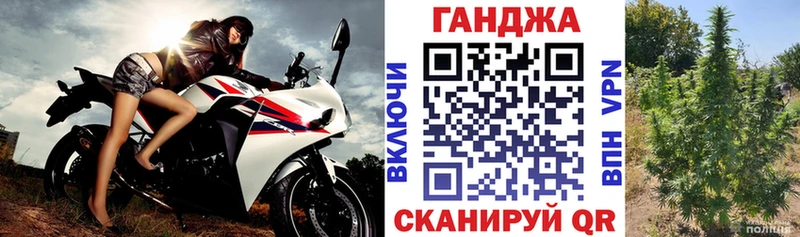 omg как зайти  магазин    Ельня  даркнет Telegram  Бошки марихуана конопля 